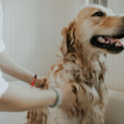 屏幕截图 2025-12-06 184116