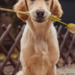 屏幕截图 2025-12-06 184212